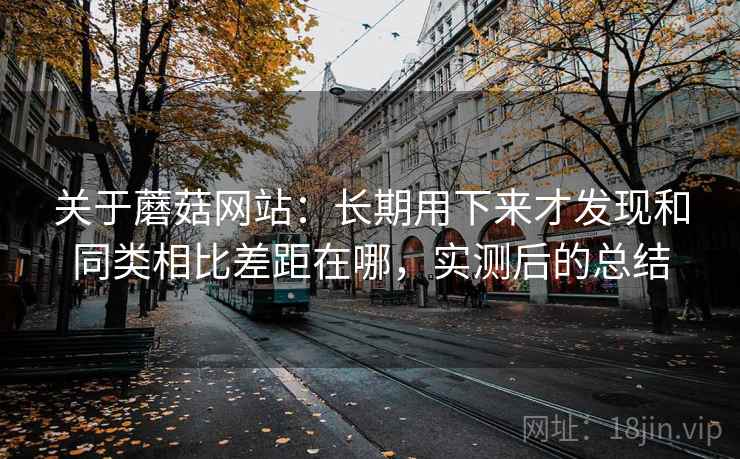 关于蘑菇网站：长期用下来才发现和同类相比差距在哪，实测后的总结