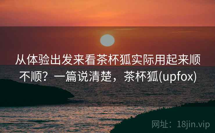从体验出发来看茶杯狐实际用起来顺不顺？一篇说清楚，茶杯狐(upfox)