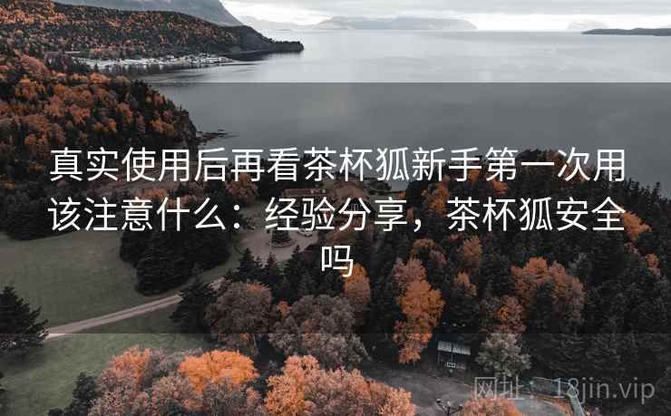 真实使用后再看茶杯狐新手第一次用该注意什么：经验分享，茶杯狐安全吗