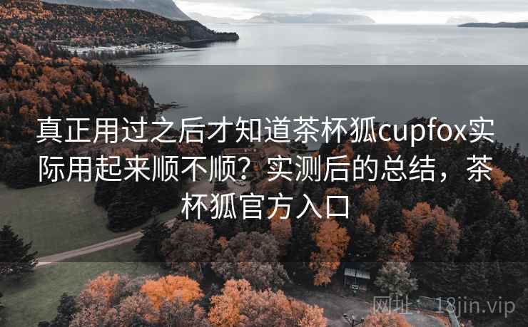 真正用过之后才知道茶杯狐cupfox实际用起来顺不顺？实测后的总结，茶杯狐官方入口