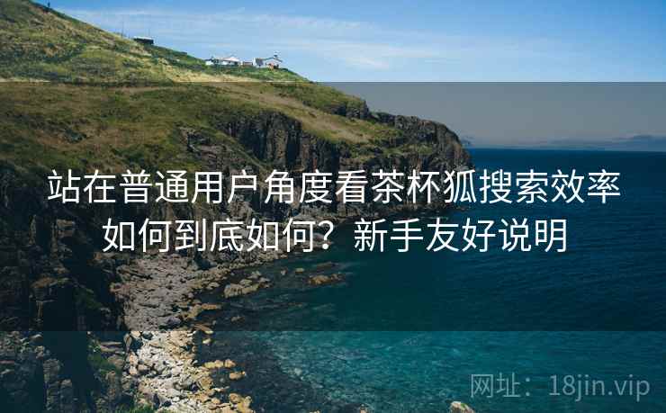 站在普通用户角度看茶杯狐搜索效率如何到底如何？新手友好说明
