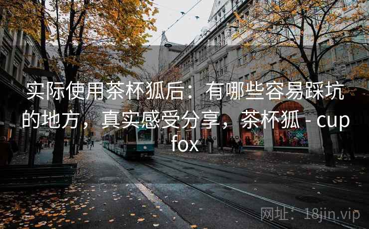 实际使用茶杯狐后:有哪些容易踩坑的地方,真实感受分享,茶杯狐 - cupfox 实际使用茶杯狐后:有哪些容易踩坑的地方,真实感受分享,茶杯狐 - cupfox