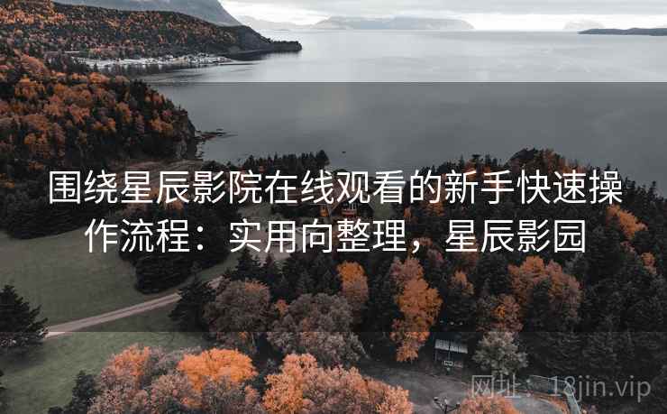 围绕星辰影院在线观看的新手快速操作流程：实用向整理，星辰影园