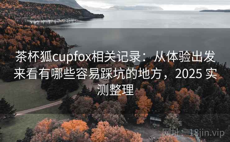 茶杯狐cupfox相关记录:从体验出发来看有哪些容易踩坑的地方,2025 实测整理 茶杯狐cupfox相关记录:从体验出发来看有哪些容易踩坑的地方,2025 实测整理