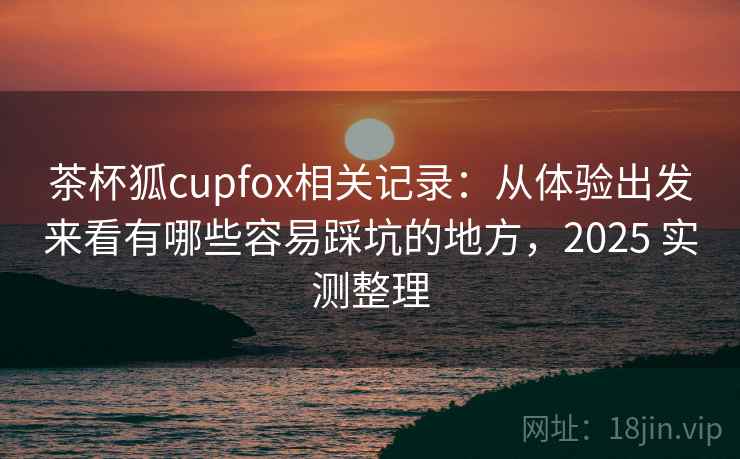 茶杯狐cupfox相关记录：从体验出发来看有哪些容易踩坑的地方，2025 实测整理